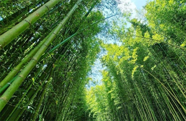 Cao Bang Loop Tour 3 Days 2 Nights